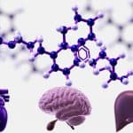 Molécule sémaglutide GLP-1 avec organes cœur cerveau foie - nouvelles indications thérapeutiques Ozempic au Canada 2026