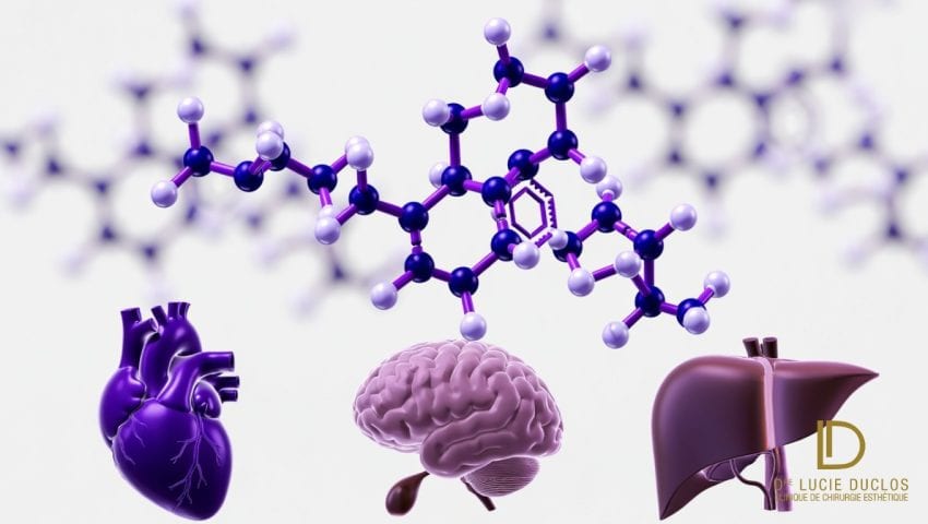 Molécule sémaglutide GLP-1 avec organes cœur cerveau foie - nouvelles indications thérapeutiques Ozempic au Canada 2026