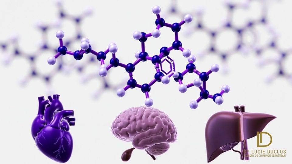 Molécule sémaglutide GLP-1 avec organes cœur cerveau foie - nouvelles indications thérapeutiques Ozempic au Canada 2026