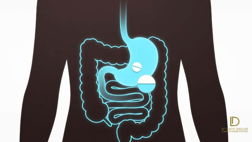 Illustration du mecanisme Ozempic sur le systeme digestif et le GLP-1